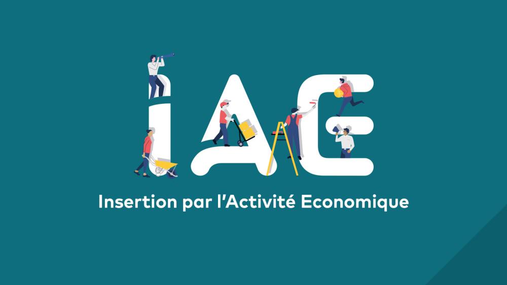 Logo IAE